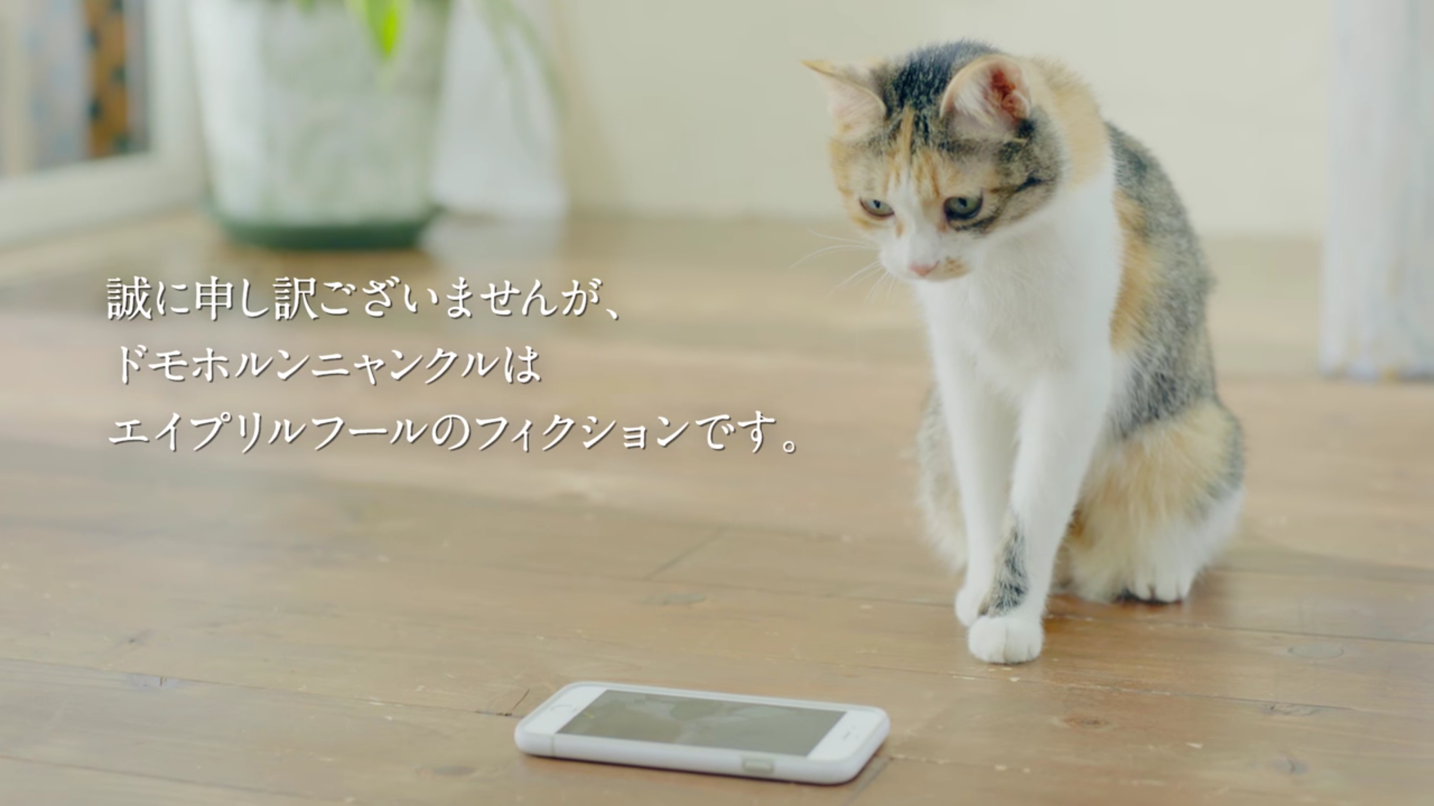 圖片來源：ドモホルンリンクル（薬彩工園・工場）