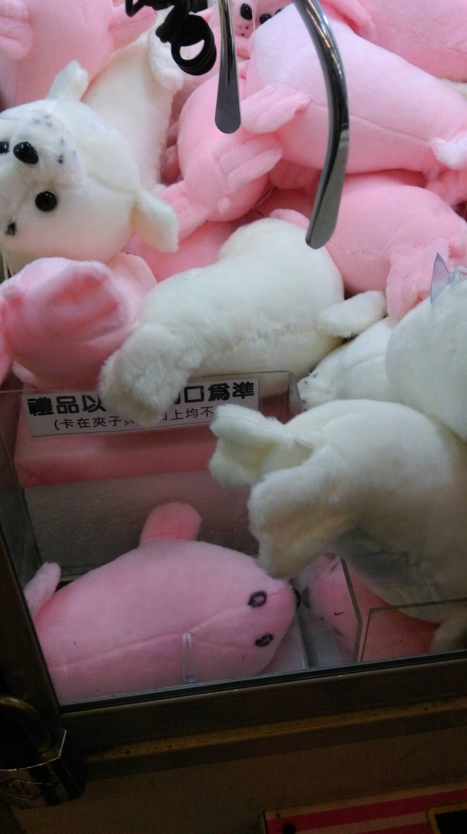 圖片來源：dcard