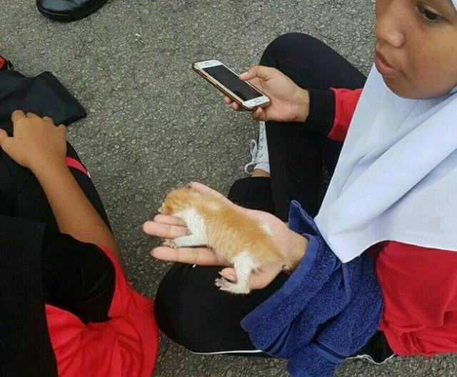 圖片來源：Nur Izzah Zabidi