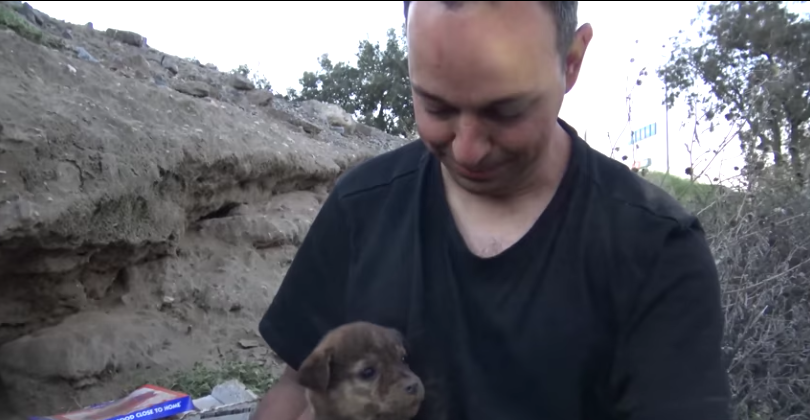 圖片來源：Hope For Paw官方頻道／Youtube