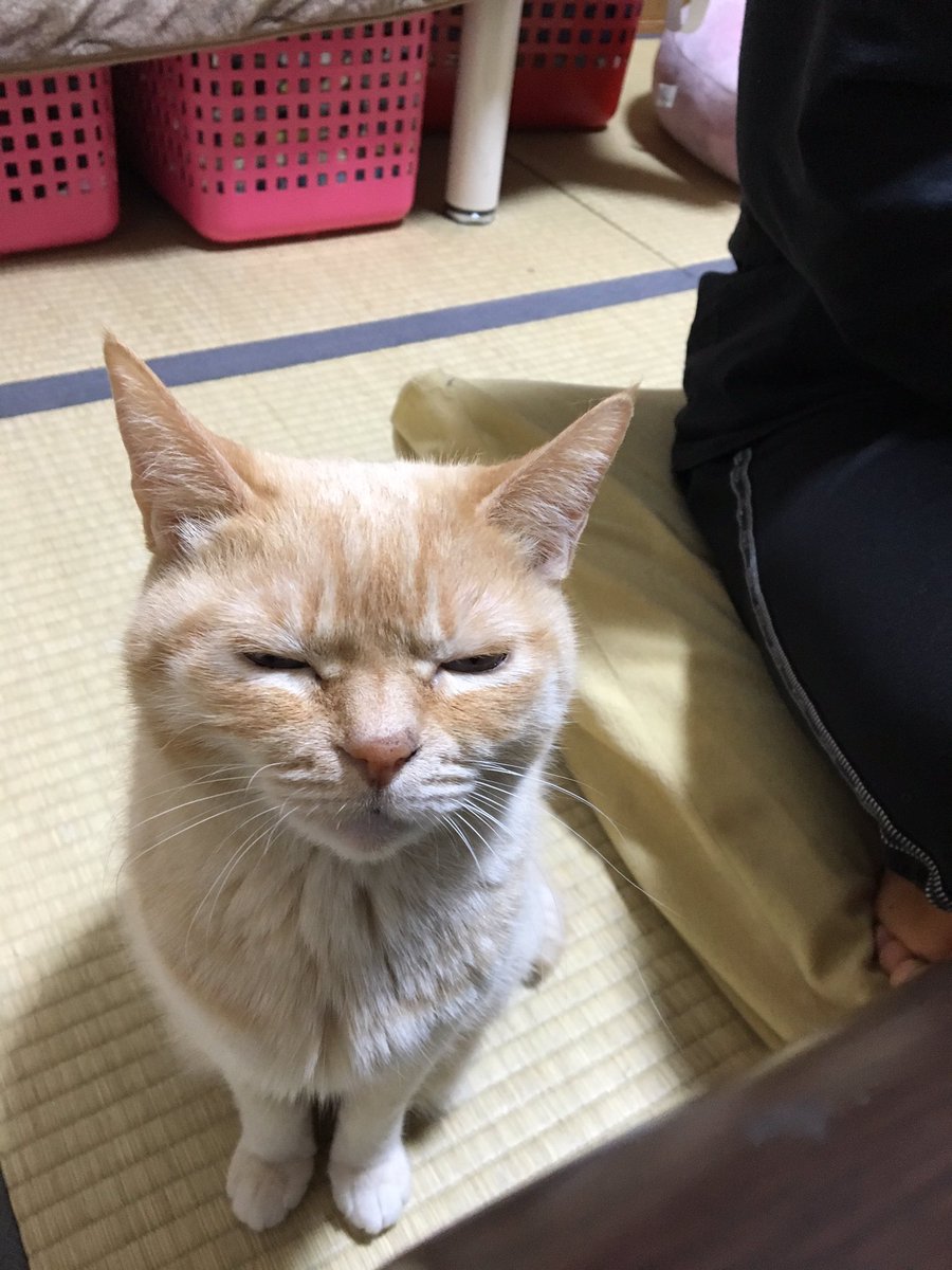 圖片來源:moZu_waTa/twitter