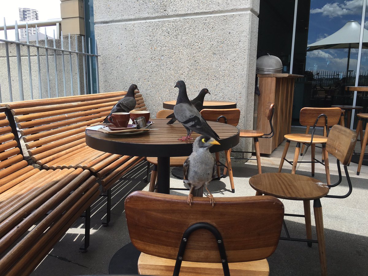 圖片來源:bolcof2/twitter