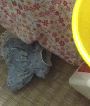 圖片來源:43ismamorigami/twitter