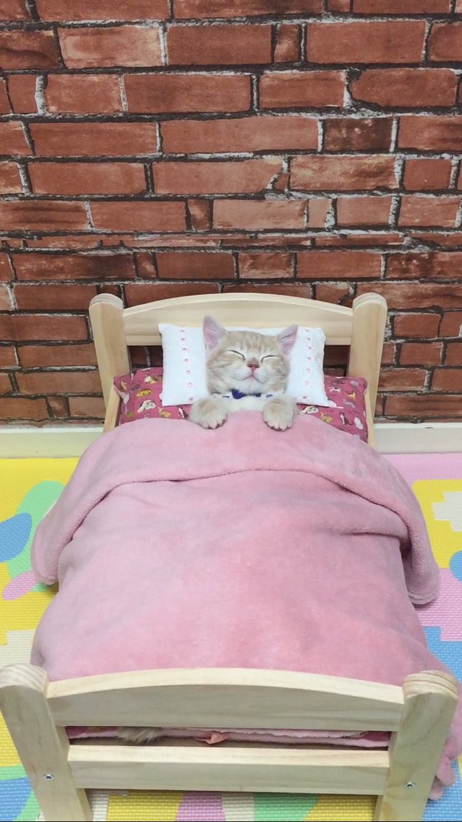 圖片來源：milkymirukun／twitter