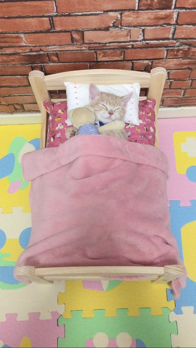 圖片來源：milkymirukun／twitter