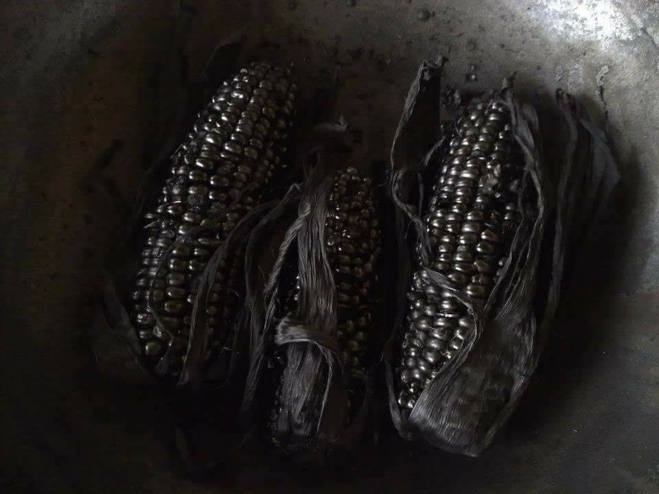 圖片來源：張正坤／爆廢公社