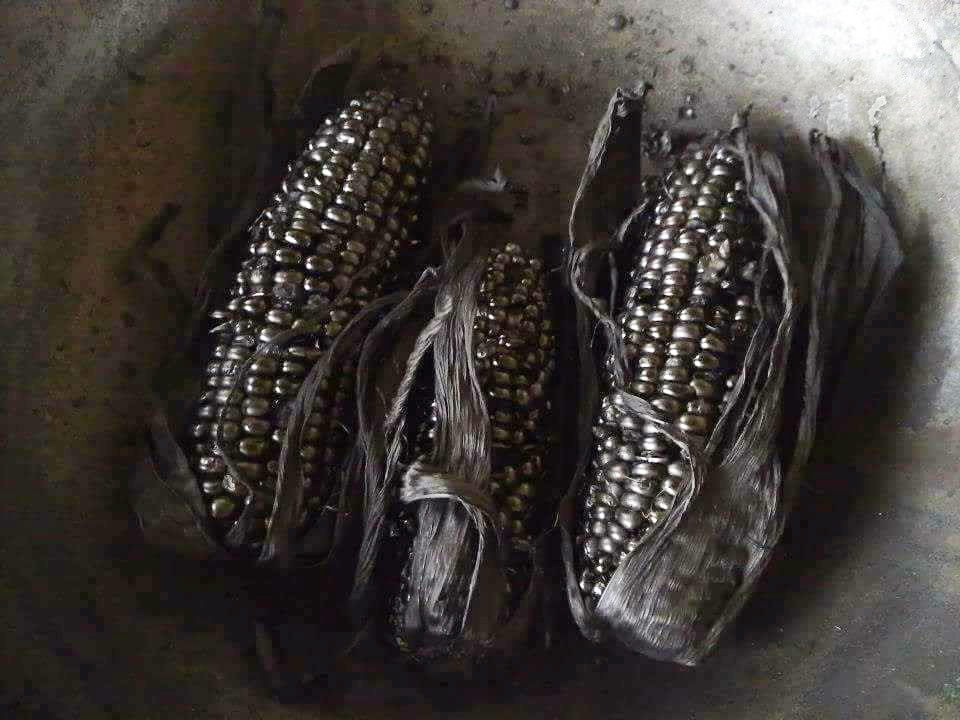 圖片來源：張正坤／爆廢公社