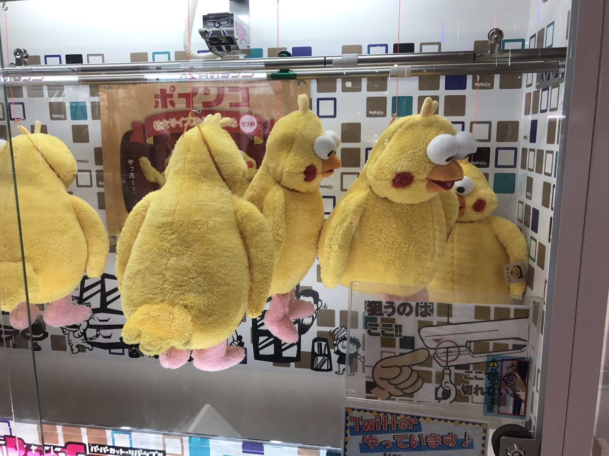 圖片來源：urichiko／twitter