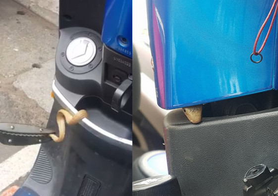 圖片來源：Wei Ting