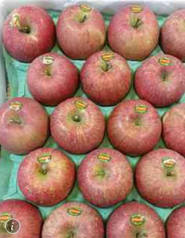 圖片來源：蔡慧萱