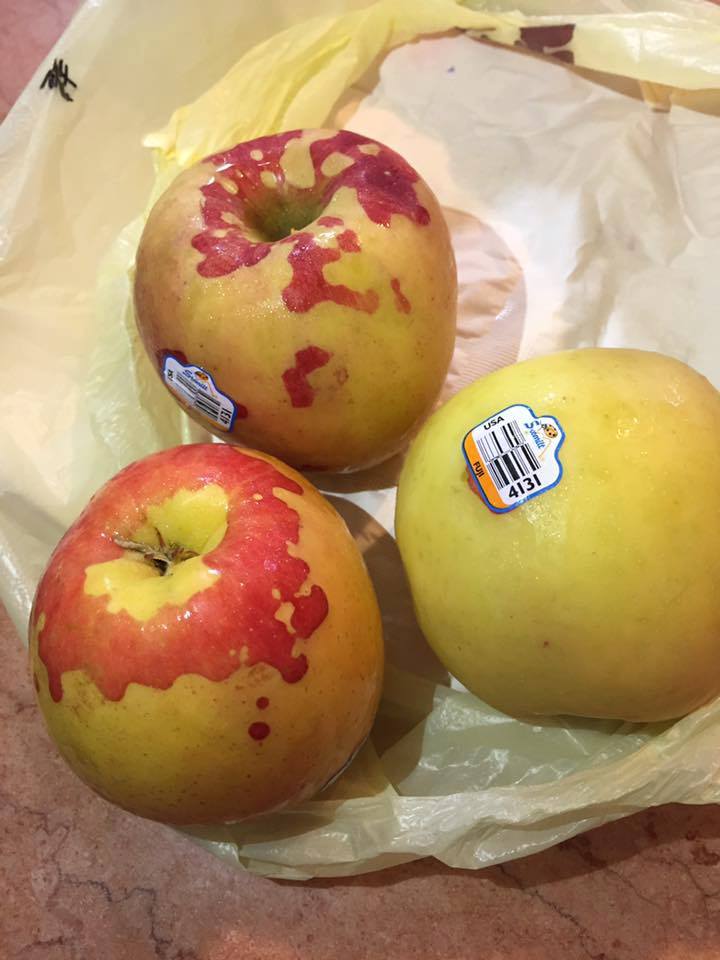 圖片來源：蔡慧萱