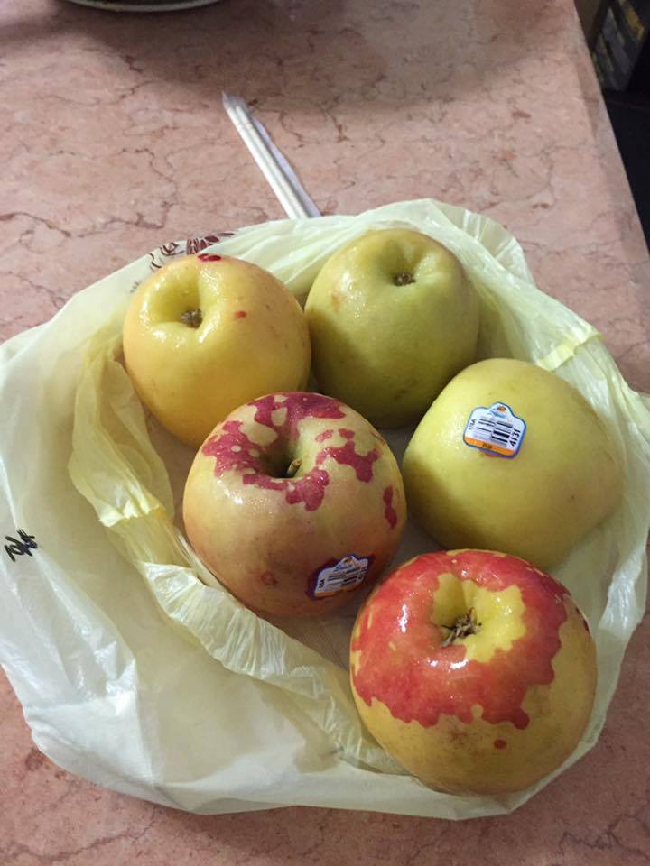 圖片來源：蔡慧萱