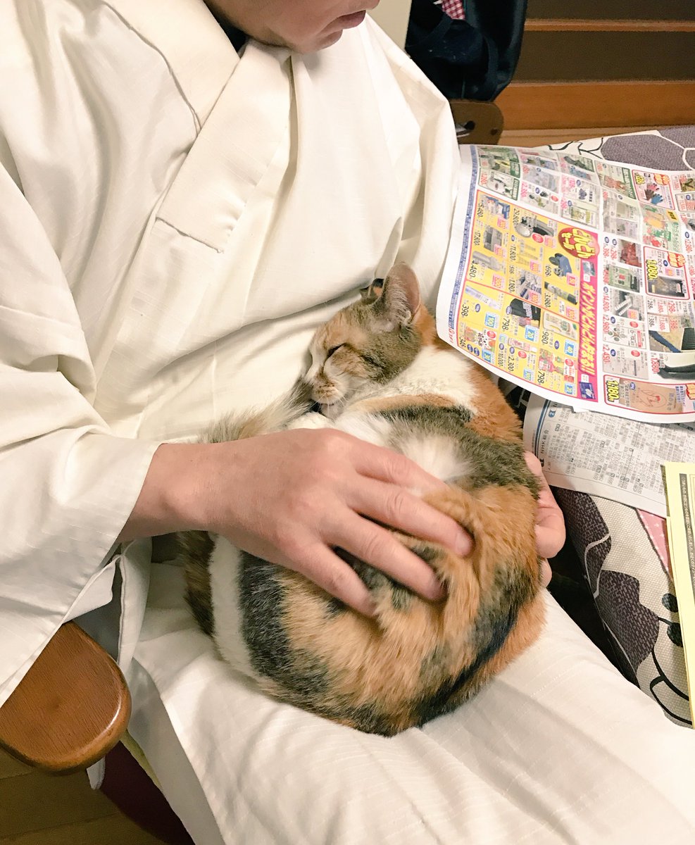 圖片來源:nasu_chourakuji/twitter