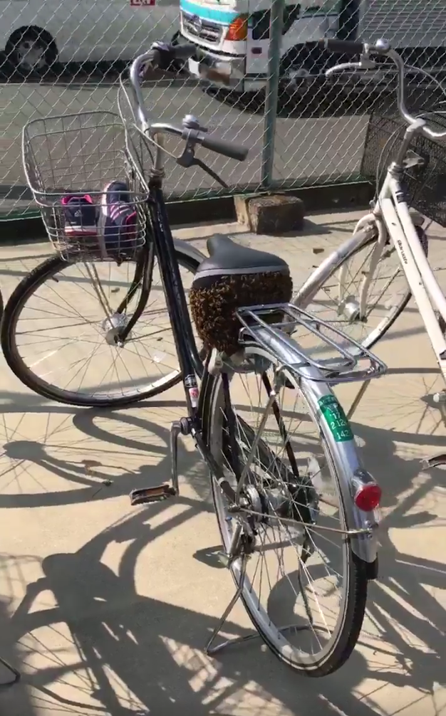 圖片來源:xi17l/twitter