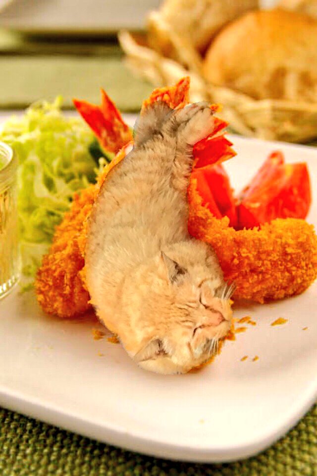 圖片來源：Potelon0423／twitter