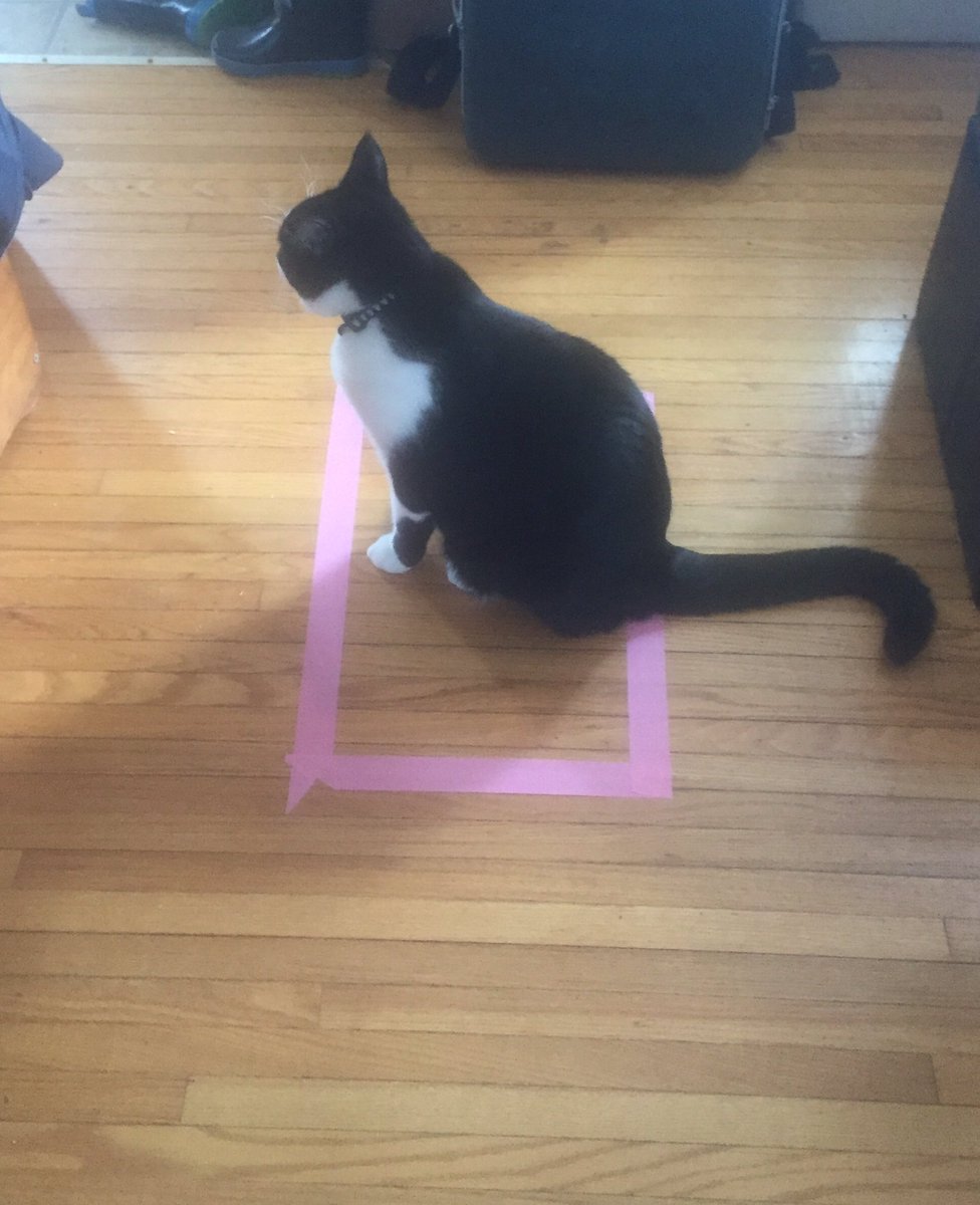 圖片來源:prograpslady/twitter