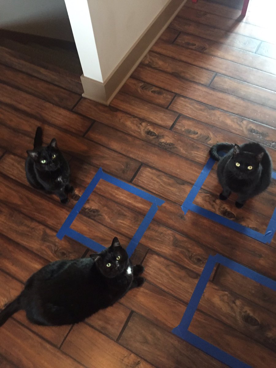 圖片來源:prograpslady/twitter