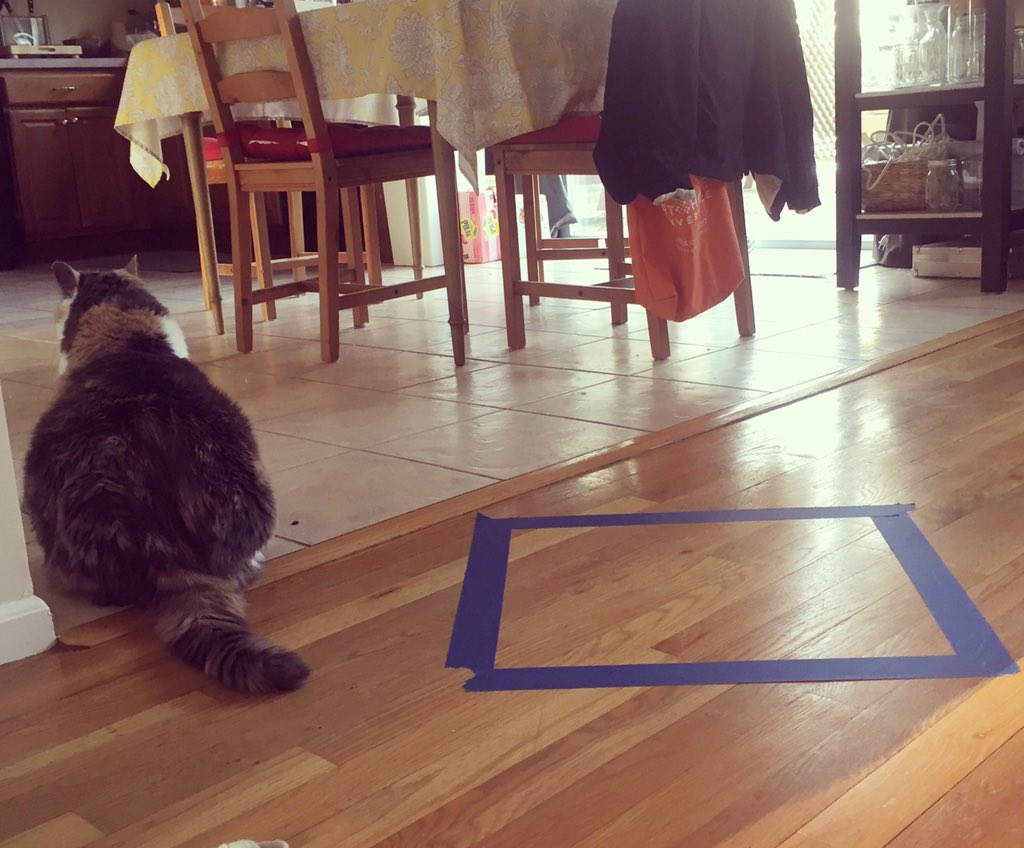 圖片來源:prograpslady/twitter