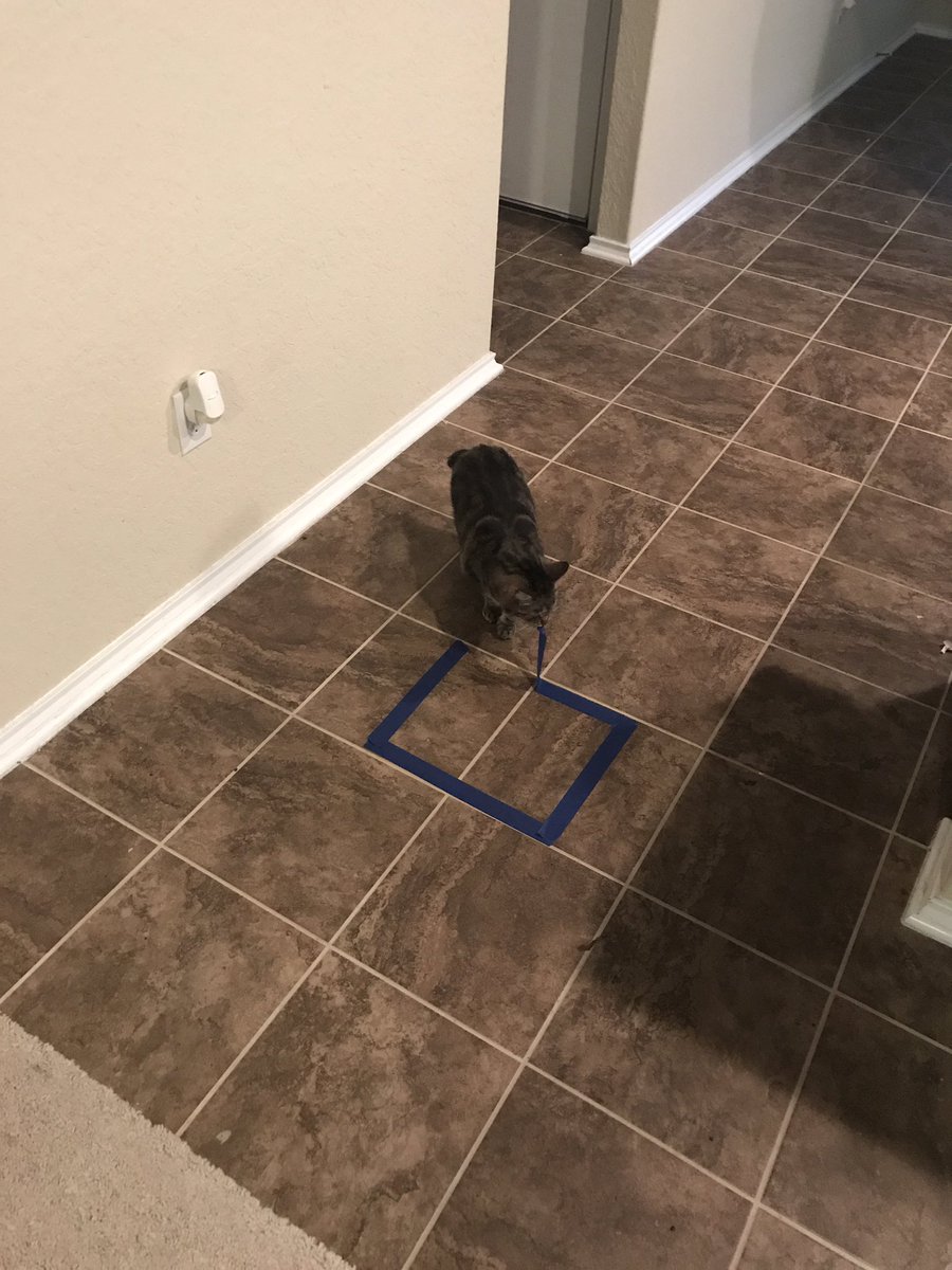 圖片來源:prograpslady/twitter