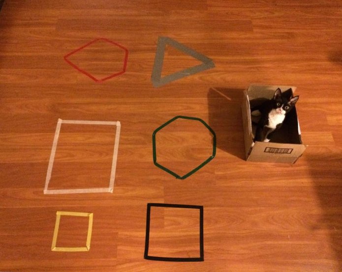 圖片來源:prograpslady/twitter