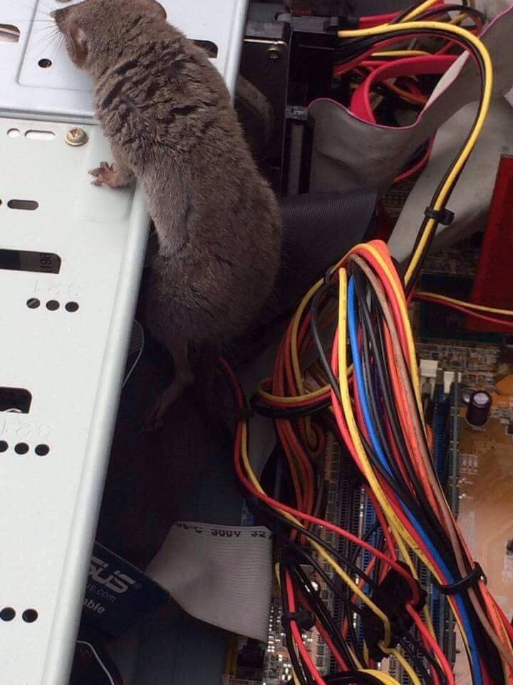 圖片來源：楊博鈞