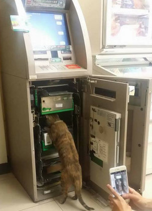 圖片來源：爆料公社