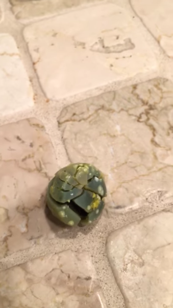 圖片來源：Reddit McReddit／YouTube