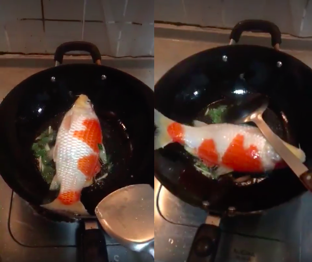 圖片來源:謝東良