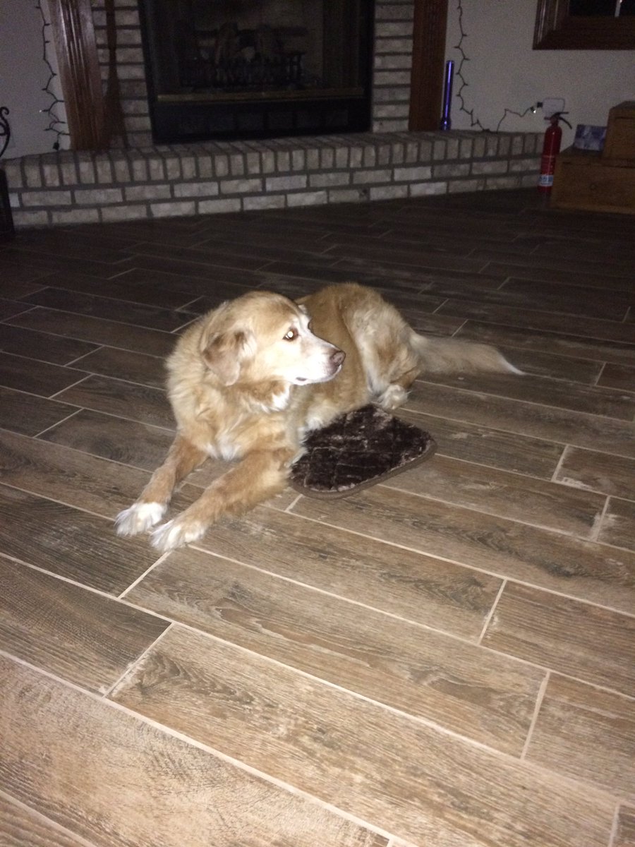 圖片來源：paetonmathes／twitter