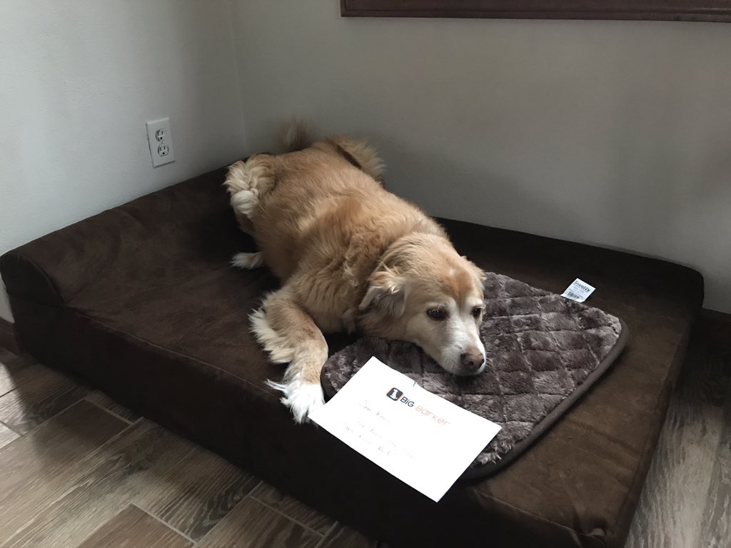 圖片來源：paetonmathes／twitter