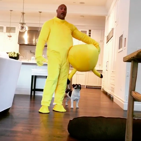 圖片來源：therock／instagram