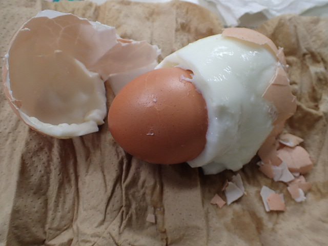 圖片來源：Nouji_center／twitter