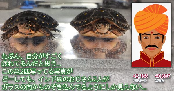 圖片來源：curazy.com