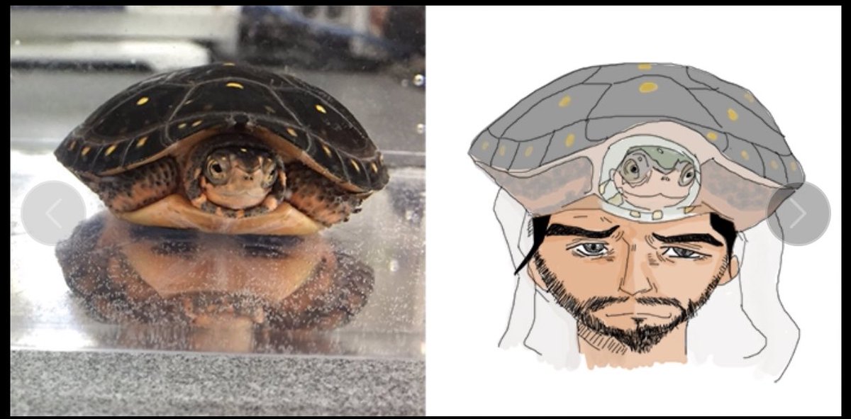 圖片來源：chamao_zoo3／twitter