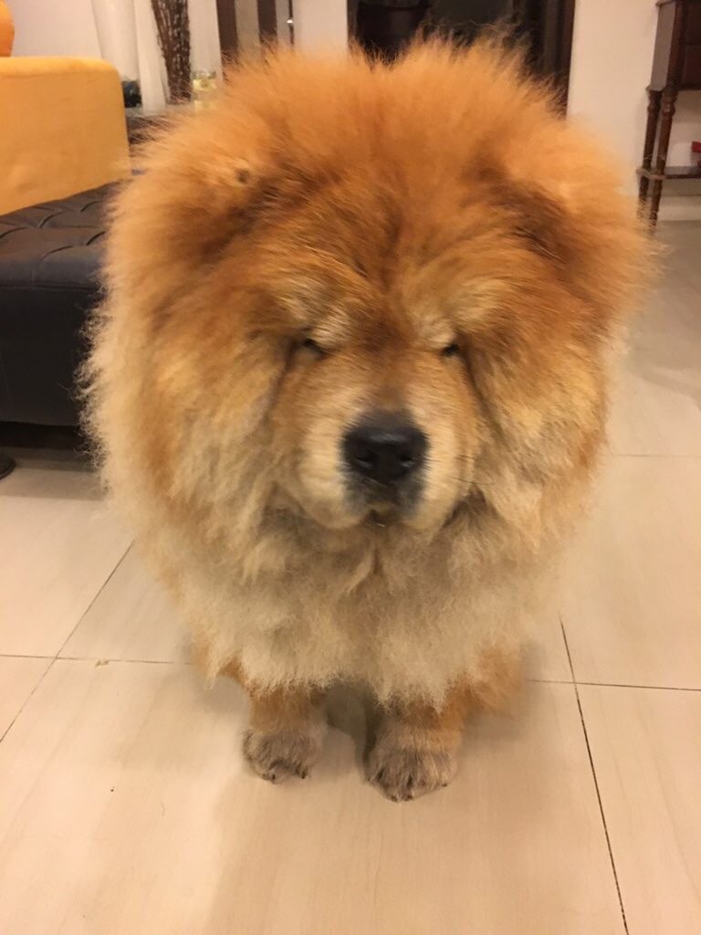 圖片來源：dcard