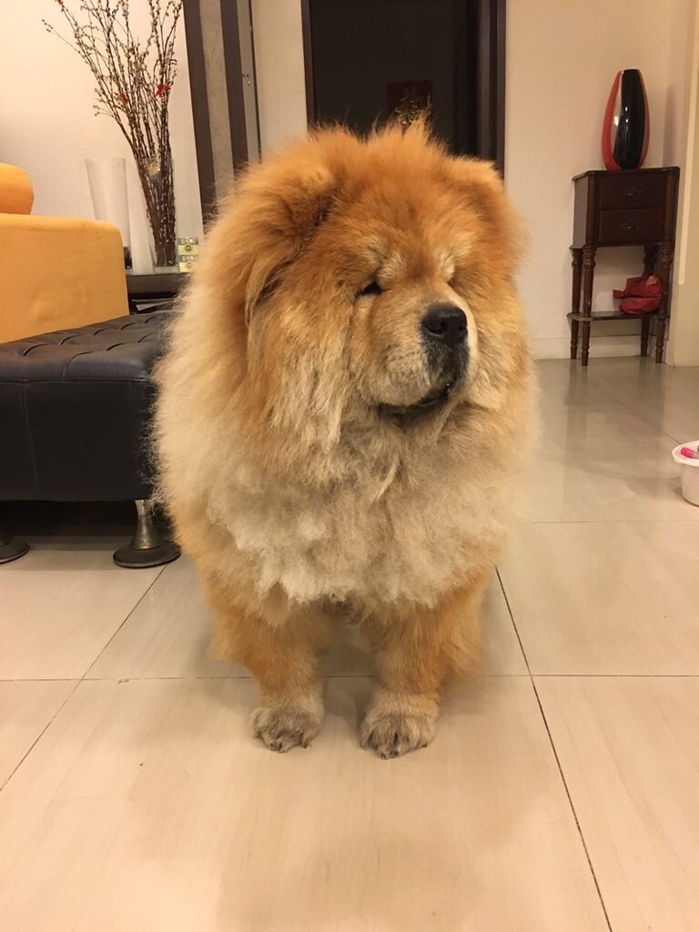 圖片來源：dcard