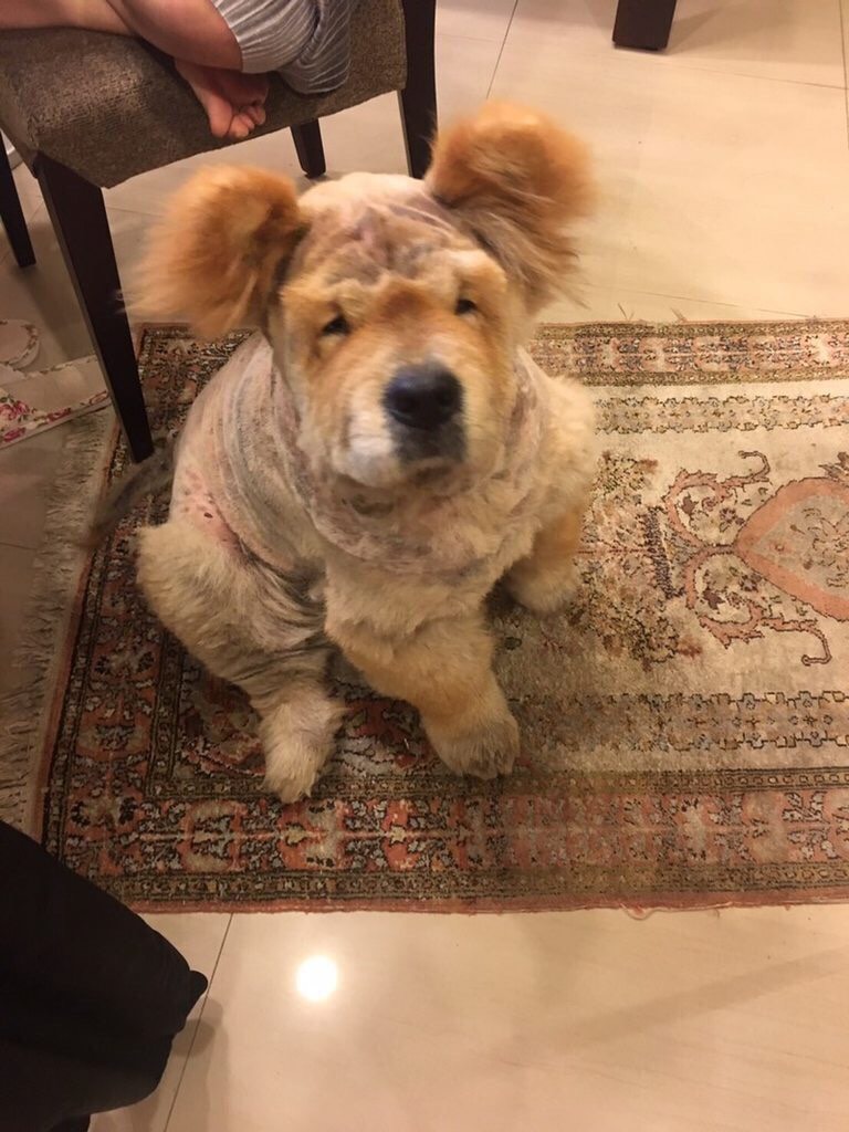 圖片來源：dcard