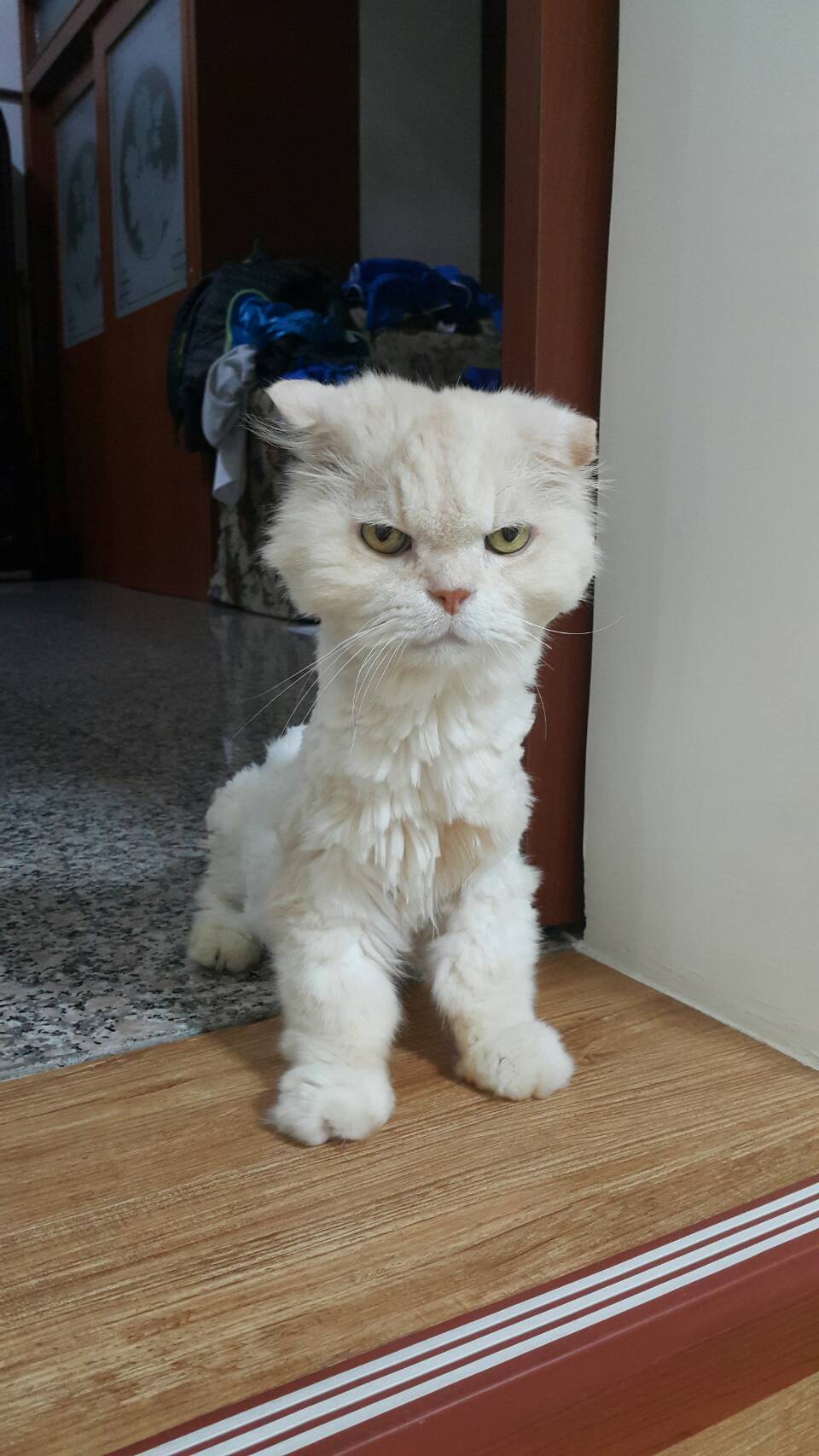 圖片來源： kandf10373／ptt