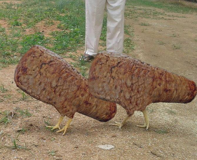 圖片來源：Jerry Wang