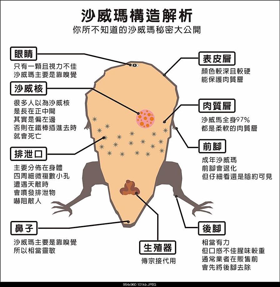 圖片來源：就業市場在台灣論壇