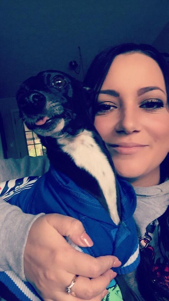 圖片來源：the Dodo