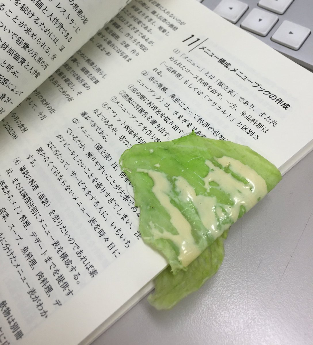 圖片來源：iwasaki_sample／twitter