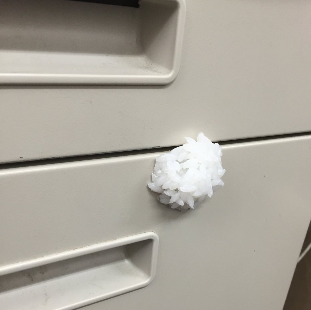 圖片來源：iwasaki_sample／twitter