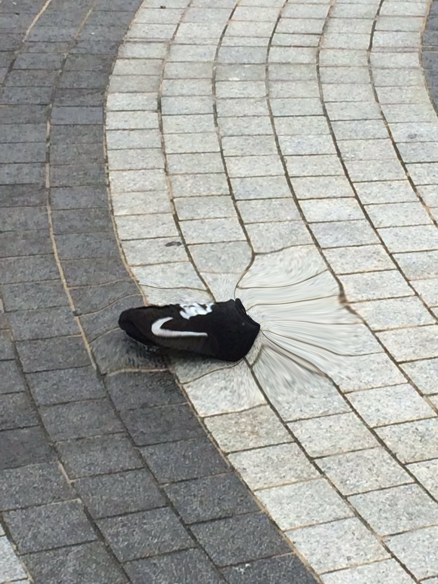 圖片來源：Tom_0816／twitter、空間扭曲：毛毛