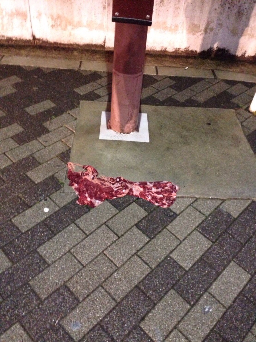 圖片來源：Mashy5ry／twitter