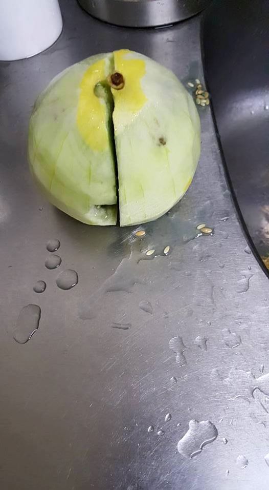 圖片來源：黃亭皓‎／爆廢公社