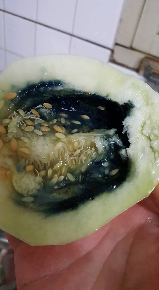 圖片來源：黃亭皓‎／爆廢公社