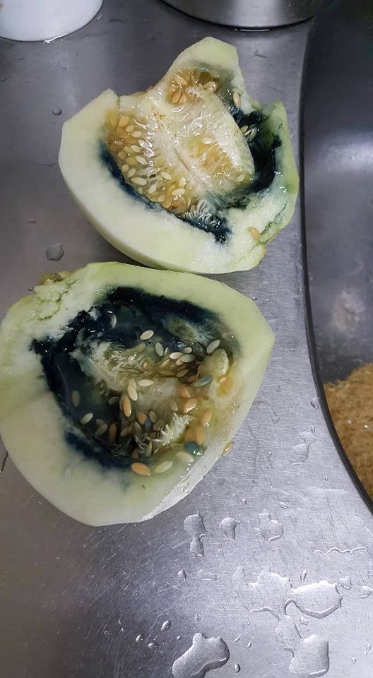 圖片來源：黃亭皓‎／爆廢公社