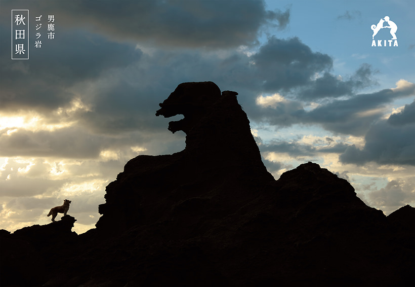 圖片來源：akitafan