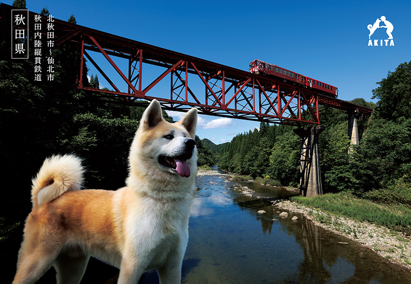 圖片來源：akitafan